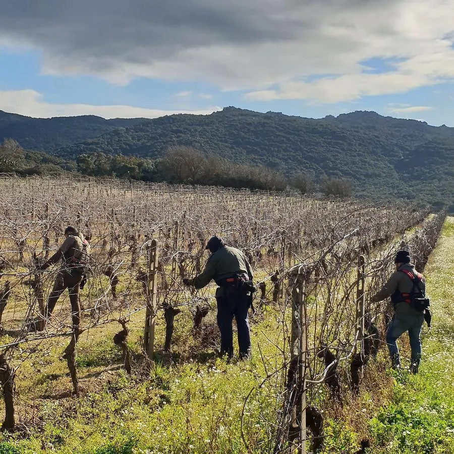 Agriturismo Vermentino Monti 0*,  Ιταλία