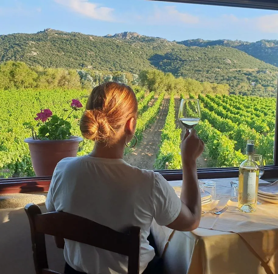 Agriturismo Vermentino Monti Italy