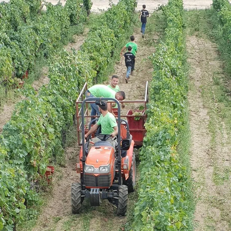 Agriturismo Vermentino Monti