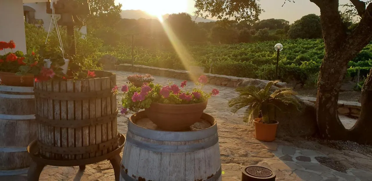 Agriturismo Vermentino Monti Farm stay