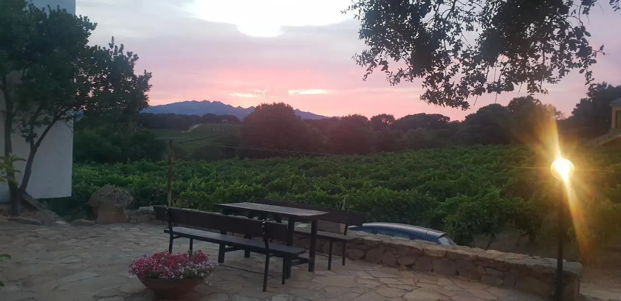 Agriturismo Vermentino Monti